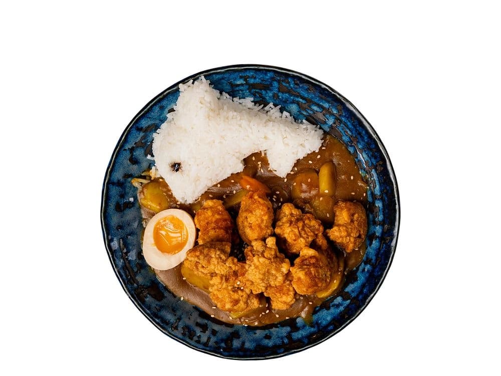 Karaage Curry Don