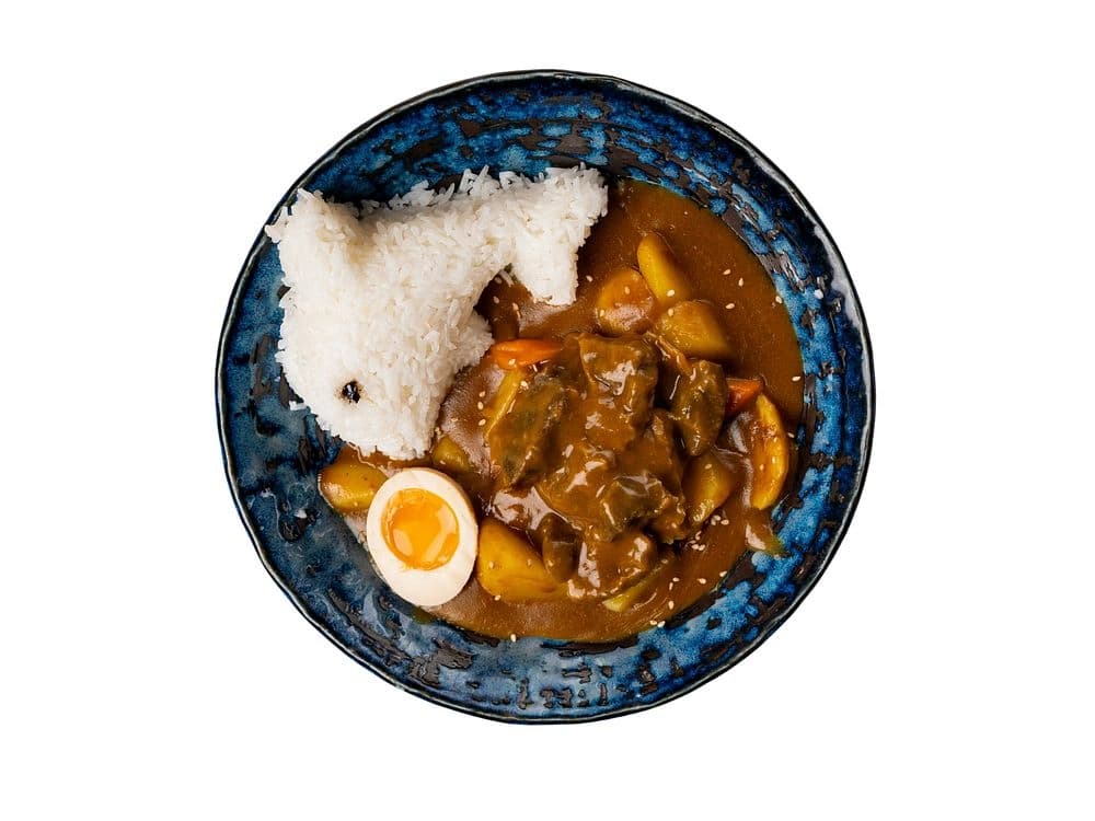 Curry Don with Beef